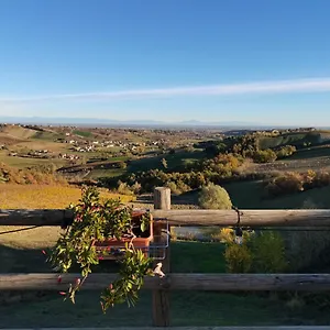 Cantina Visconti - , Vigoleno Italia
